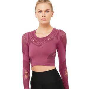 Alo yoga medium siren crop top